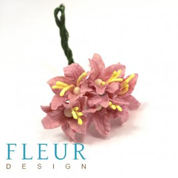 Мини- Лилии шебби-розовые , размер цветка 2,5 см, 5 шт/упаковка FD3113123 
