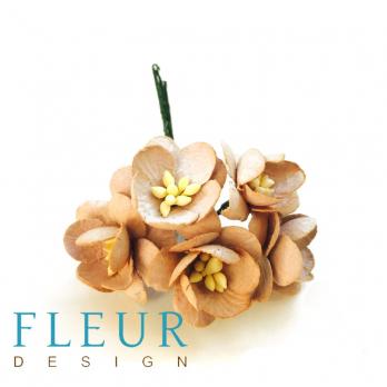 Цветочки вишни Капучино, размер цветка 2,5 см, 5 шт/упаковка FD3083148 