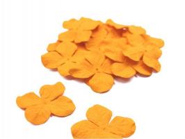 Гортензия средняя Оранжевый, размер цветка 3,5 см, 20 шт/упаковка FD3058405 