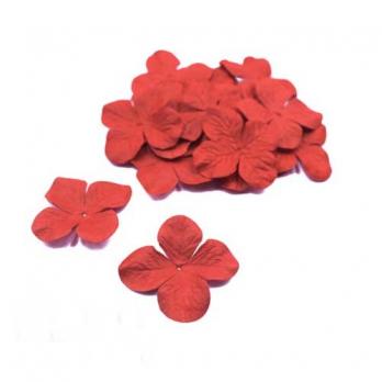 Гортензия средняя Бордовая, размер цветка 3,5 см, 20 шт/упаковка FD3058104 