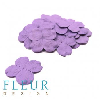 Гортензия крупная Светло-фиолетовый, размер цветка 5 см, 20 шт/упаковка FD3041185