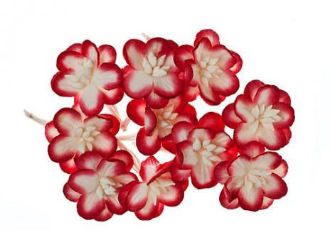Цветки вишни, набор 10 шт, красный с белым SCB300206