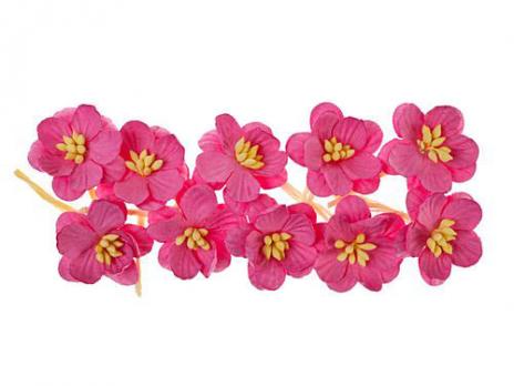 Цветки вишни, набор 10 шт, розовый SCB300205