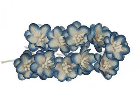 Цветки вишни, набор 10 шт, белый с синим SCB300215
