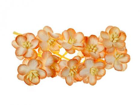 Цветки вишни, набор 10 шт, персиковый SCB300203