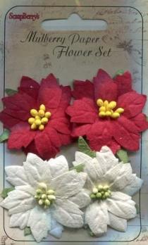 Пуансеттия 5 цветочков (2 красных и 3 белых) диаметр 3 см SCB300902