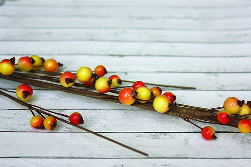 Веточка с ягодками красно-желтая средняя, 37 см SCB33010n
