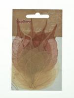 Скелетированные листочки баньяна, 8шт, коричневый  SCB300509