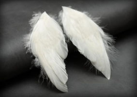 Ангельские крылышки белые 5*9,5см SCB26001007 