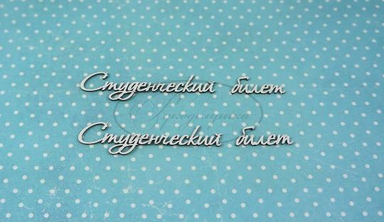 ДСШ-7-НДП-2 Студенческий билет 2  в наборе 2 надписи, размеры "студенческий" 6*1,5 см, "билет" 2,5*1 см
