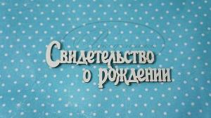 НДП-77-В ДОК-1-НДП-2В Свидетельство о рождении 2В размеры 12*5 см