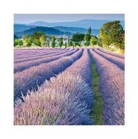 Салфетка бумажная для декупажа 33*33 см (3 слоя) Lavender Path   SDLX849000