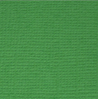 Бумага для скрапбукинга "Mr.Painter" PST 216 г/кв.м 30.5 x 30.5 см 26 Лесной папоротник (т.зелёный)