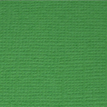 Бумага для скрапбукинга "Mr.Painter" PST 216 г/кв.м 30.5 x 30.5 см 26 Лесной папоротник (т.зелёный)