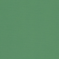 SCB172312103   Кардсток текстурированный Насыщено-зелёный, 30,5*30,5 см, 216 гр/м, цена за 1 лист
