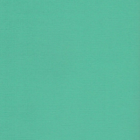 SCB172312140   Кардсток текстурированный Карибский зелёный, 30,5*30,5 см, 216 гр/м, цена за 1 лист
