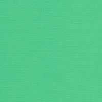 SCB172312105  Кардсток текстурированный Зелёный луг, 30,5*30,5 см, 216 гр/м, цена за 1 лист