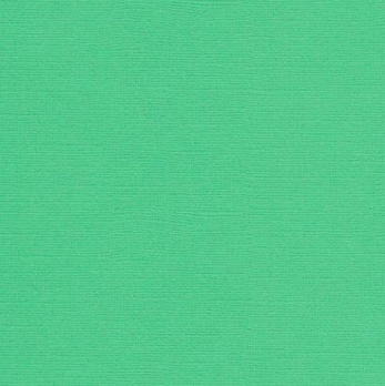 SCB172312105  Кардсток текстурированный Зелёный луг, 30,5*30,5 см, 216 гр/м, цена за 1 лист
