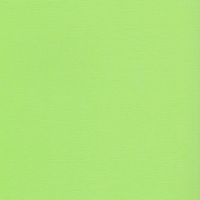 SCB172312152 Кардсток текстурированный Зеленая лужайка, 30,5*30,5 см, 216 гр/м, цена за 1 лист