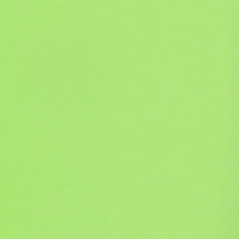 SCB172312152 Кардсток текстурированный Зеленая лужайка, 30,5*30,5 см, 216 гр/м, цена за 1 лист