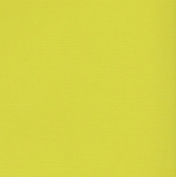 SCB172312139 Кардсток текстурированный Желтовато-зелёный, 30,5*30,5 см, 216 гр/м, цена за 1 лист