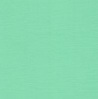 Кардсток текстурированный Персидский зелёный, 30,5*30,5, плотность 216 г/м,  FD1100332