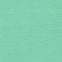 Кардсток текстурированный Свежая Мята, 30,5*30,5, плотность 216 г/м, FD1100564