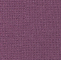 Кардсток 30,5*30,5 см  PST - 12 МОЛОДОЙ ВИНОГРАД 1 лист (фиолетовый)