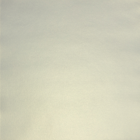 Бумага для скрапбукинга "Mr.Painter" PSTM 250 г/кв.м 30.5 x 30.5 см  01 Белый  ЖЕМЧУЖНЫЙ